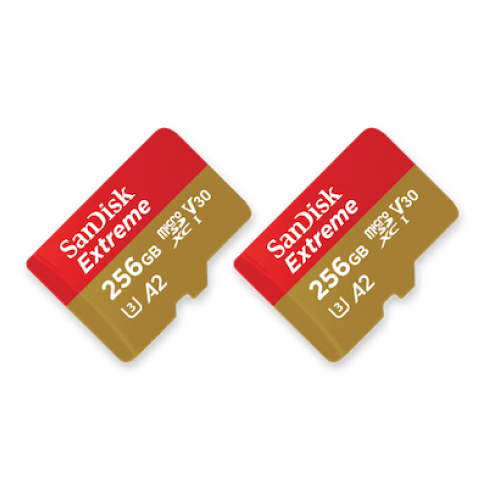 Two 256 GB microSD cards illustrating expandable, redundant onboard storage for Subnero Gen4x acoustic smart modems
